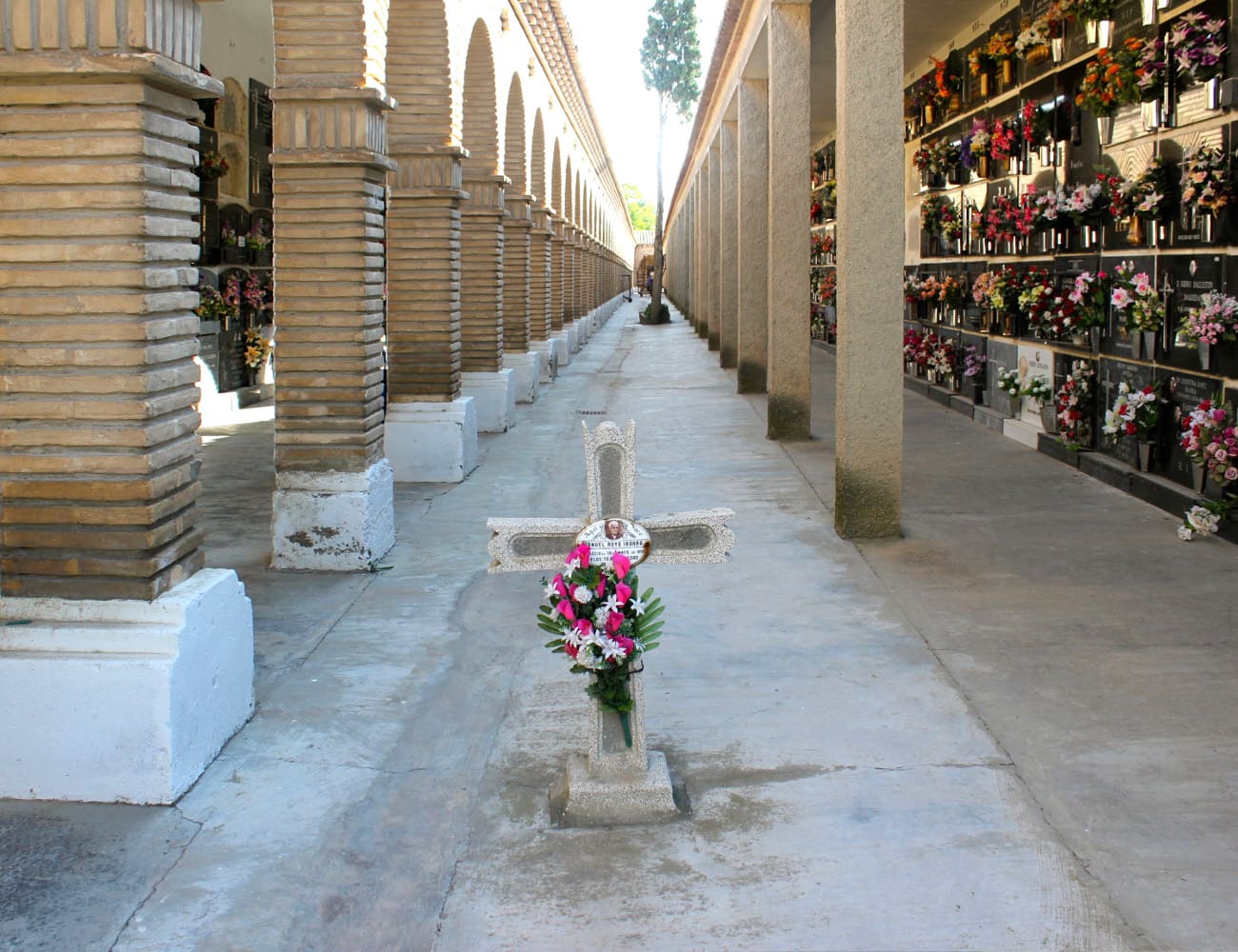 Galería de imágenes: 12 de 18