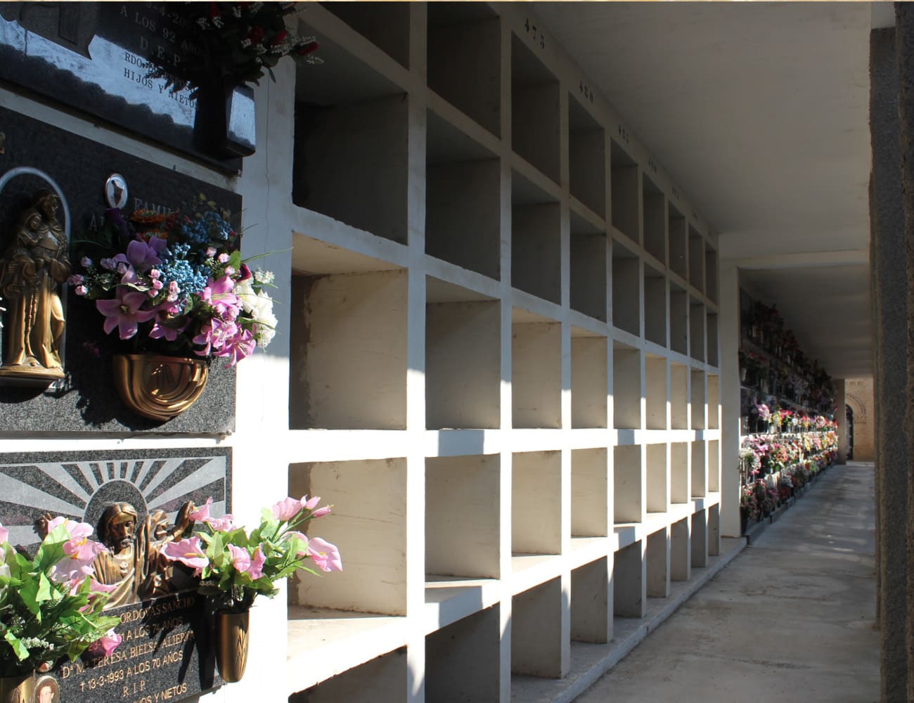 Galería de imágenes: 17 de 18