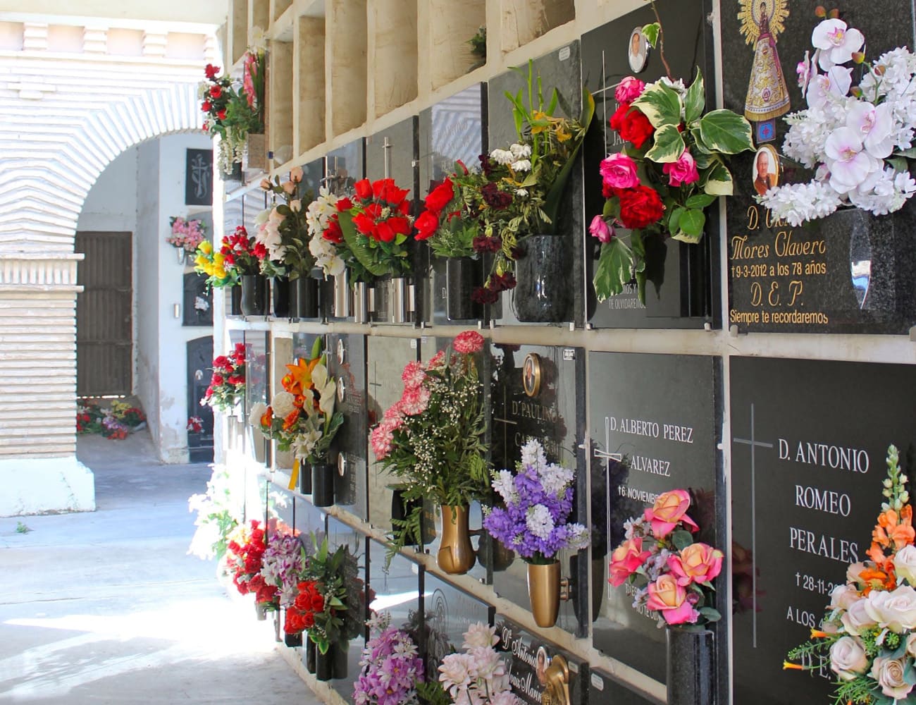 Galería de imágenes: 3 de 18