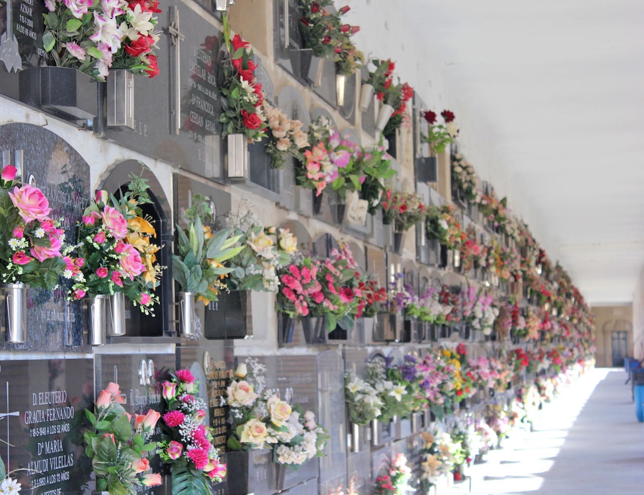 Galería de imágenes: 4 de 18