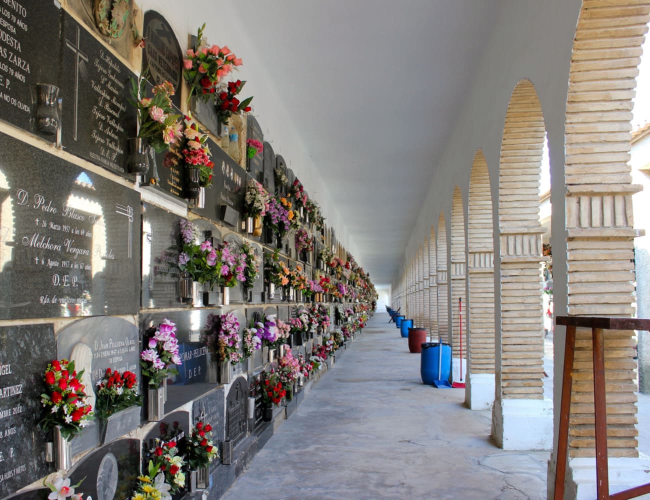 Galería de imágenes: 5 de 18