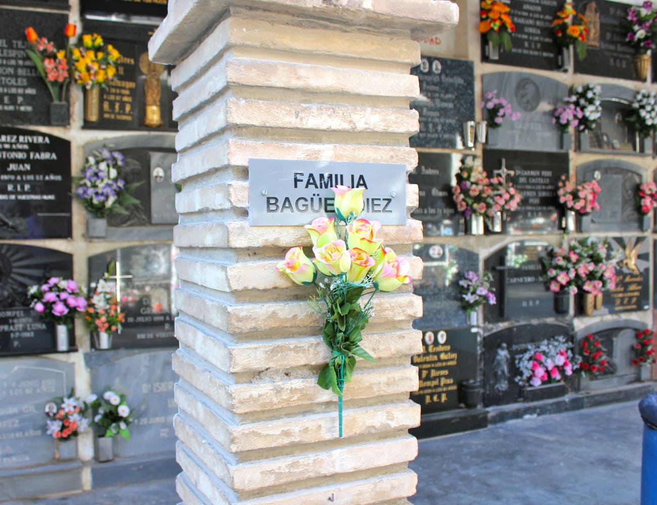 Galería de imágenes: 7 de 18