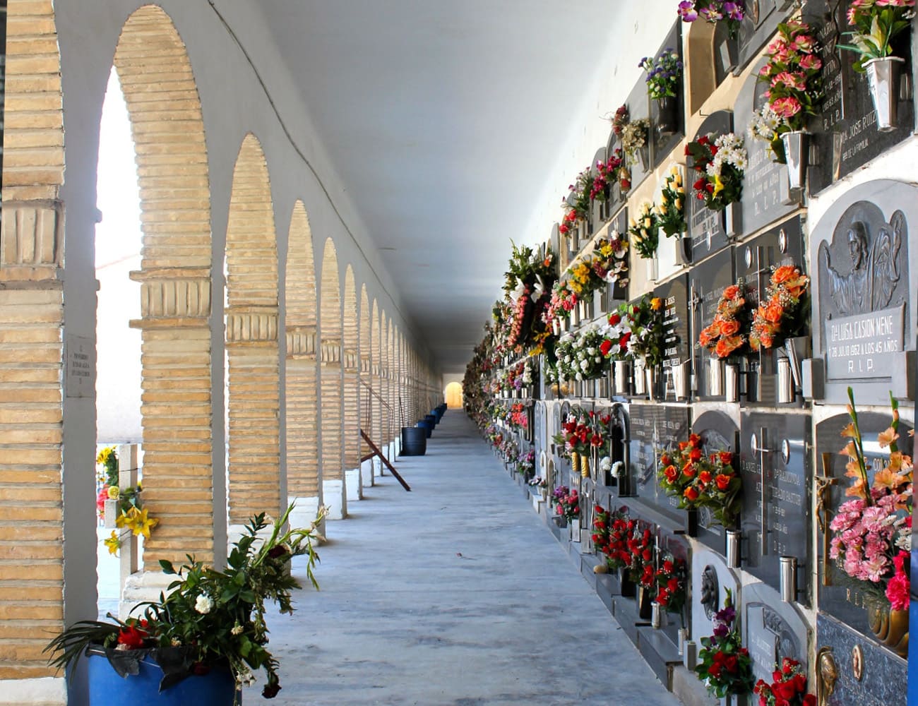 Galería de imágenes: 8 de 18