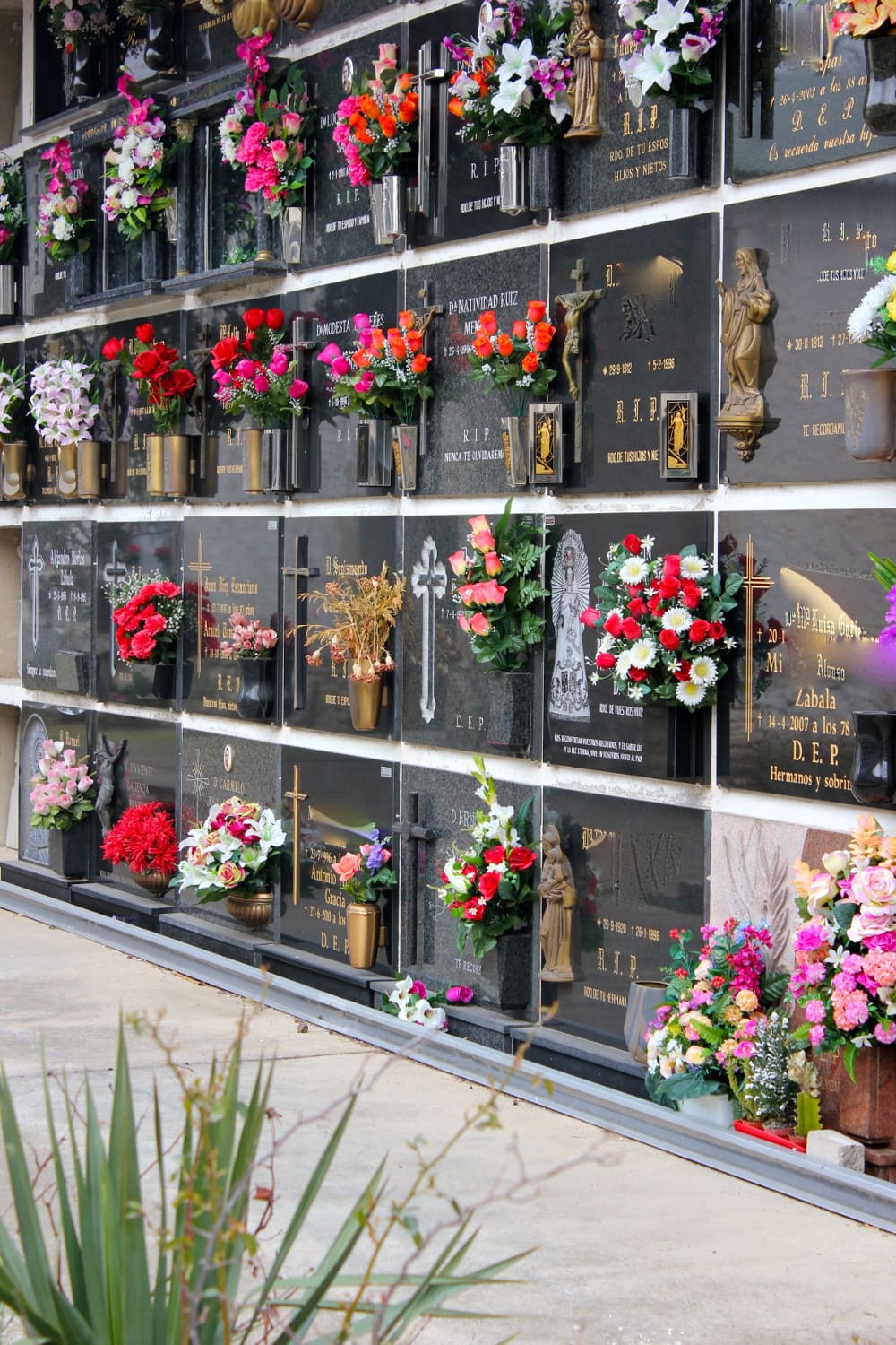 Galería de imágenes: 9 de 13