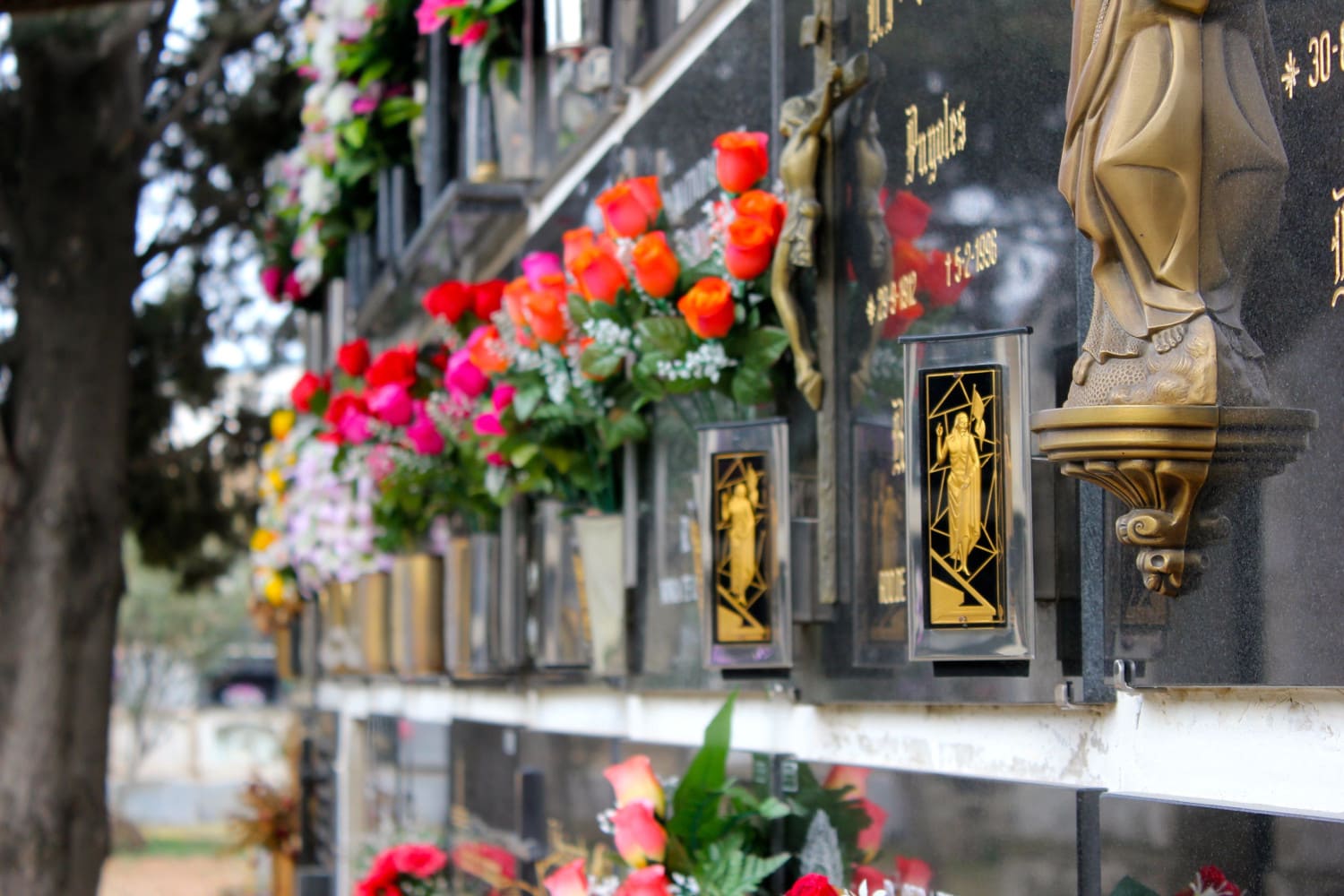 Galería de imágenes: 8 de 13