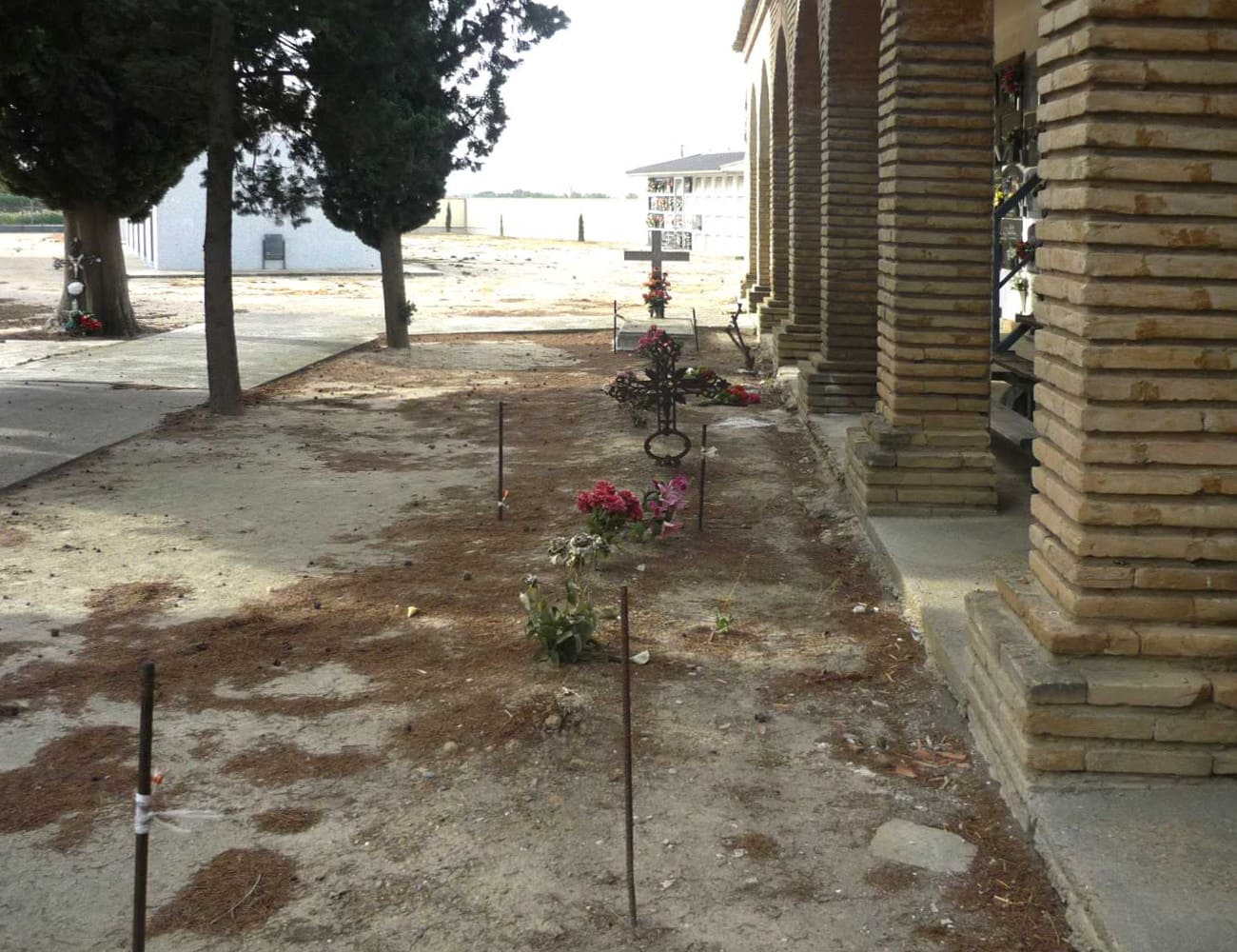 Galería de imágenes: 1 de 12