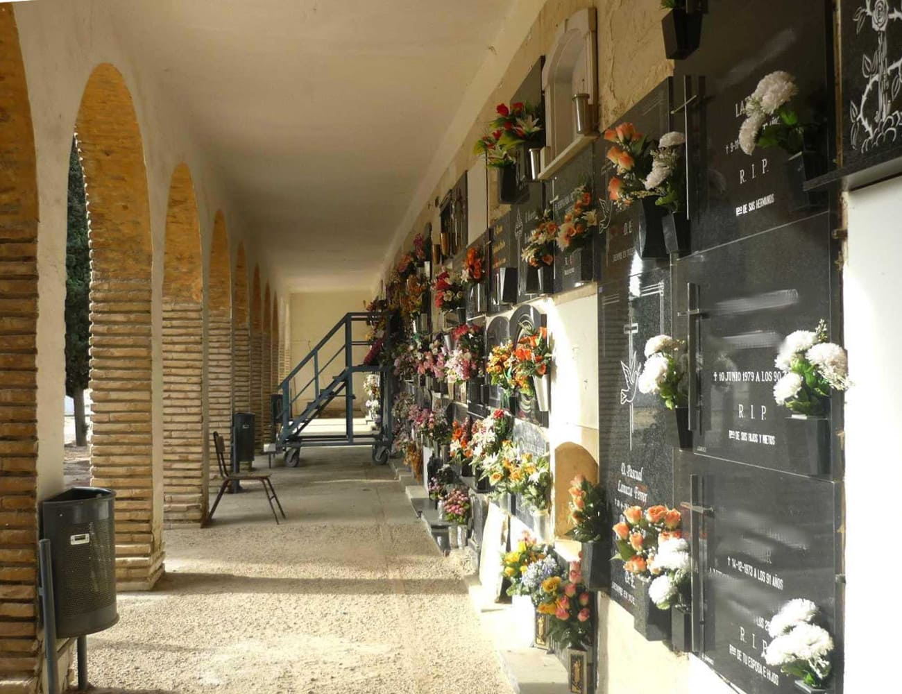 Galería de imágenes: 2 de 12