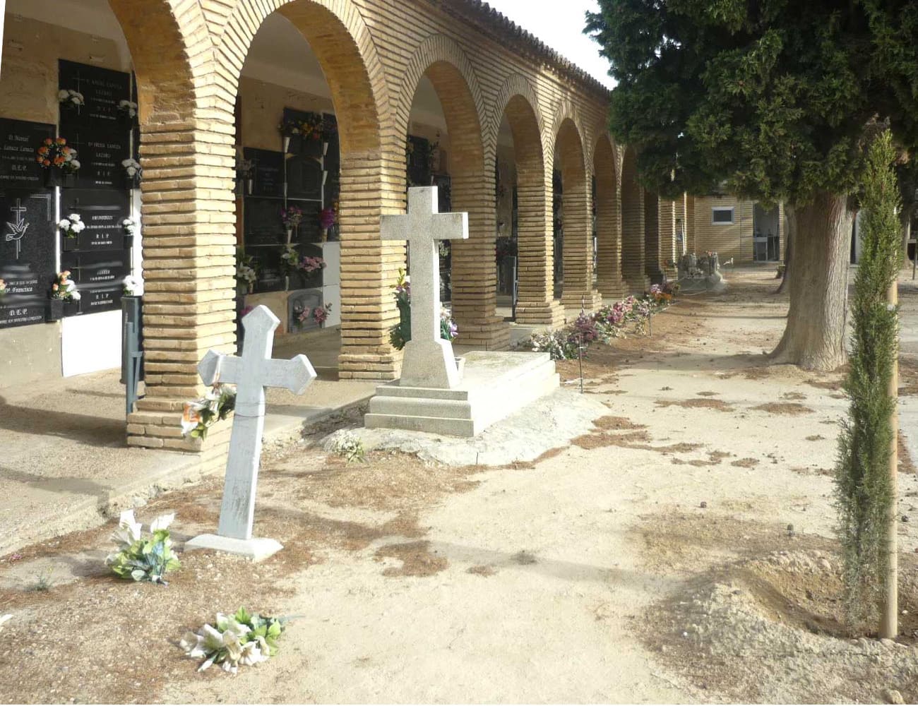 Galería de imágenes: 4 de 12