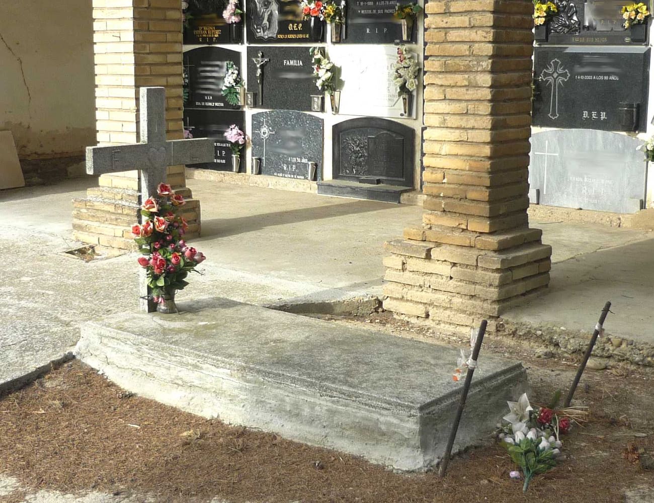 Galería de imágenes: 5 de 12