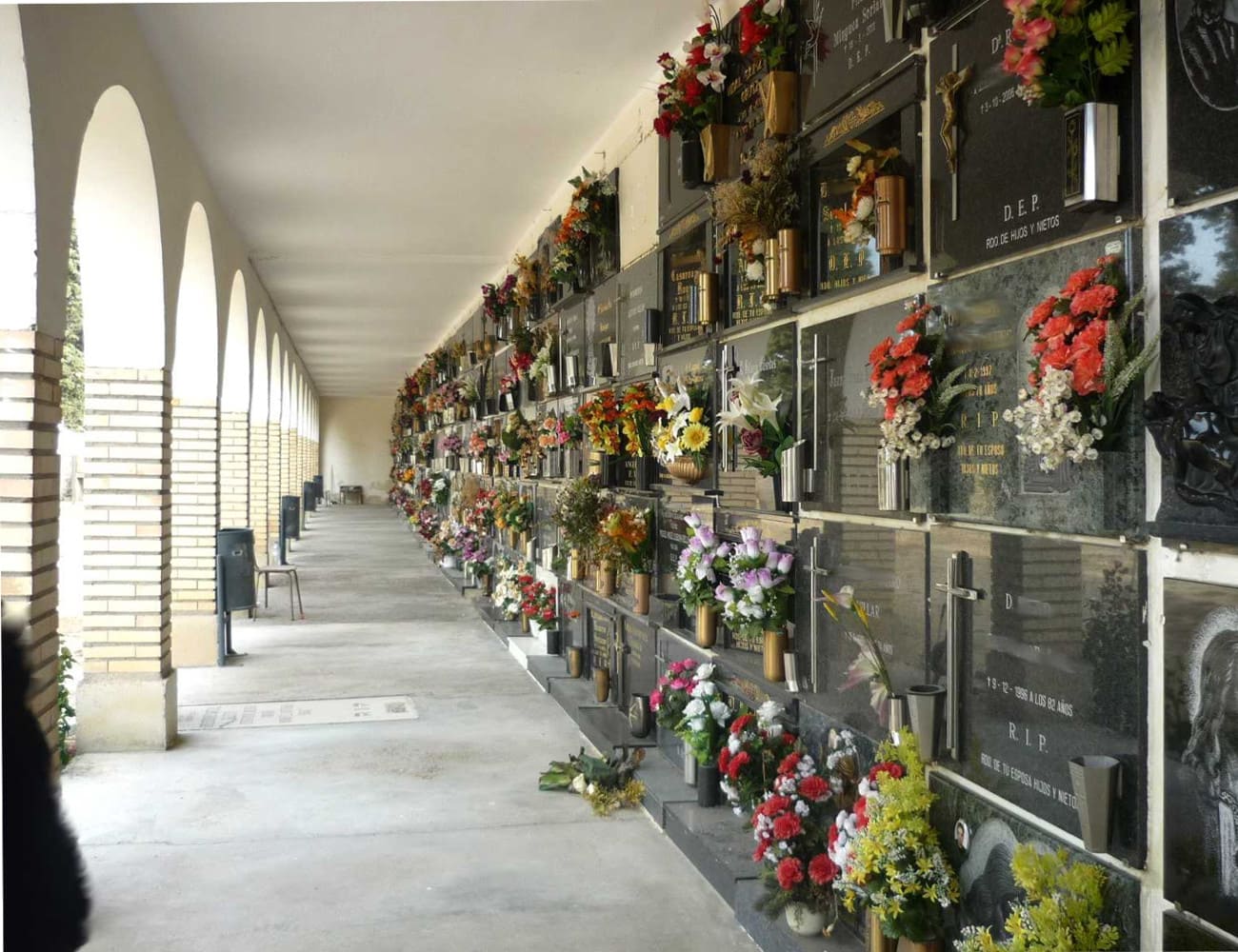 Galería de imágenes: 8 de 12