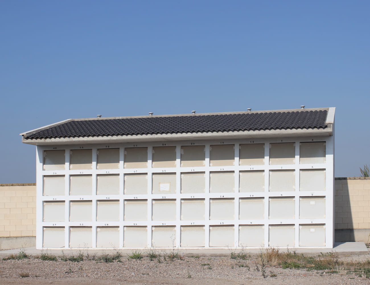 Galería de imágenes: 9 de 12