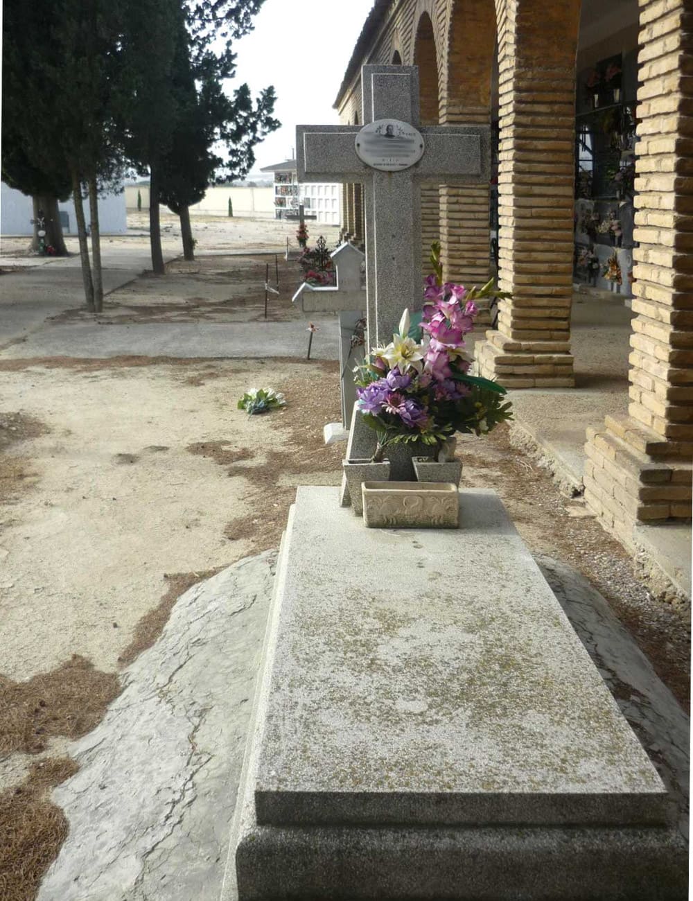 Galería de imágenes: 11 de 12