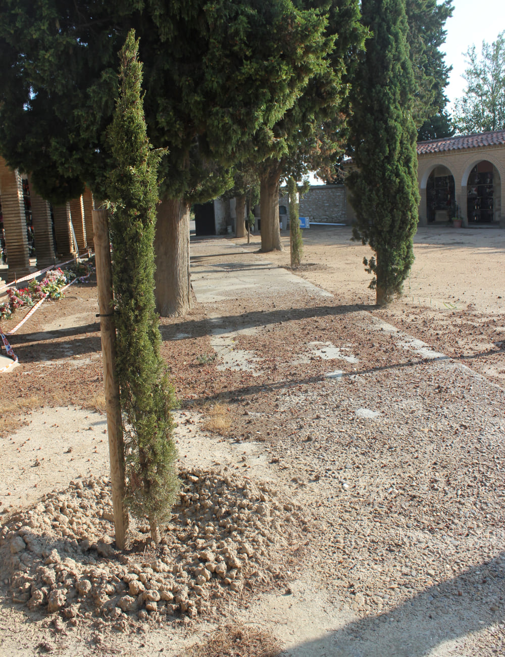 Galería de imágenes: 12 de 12