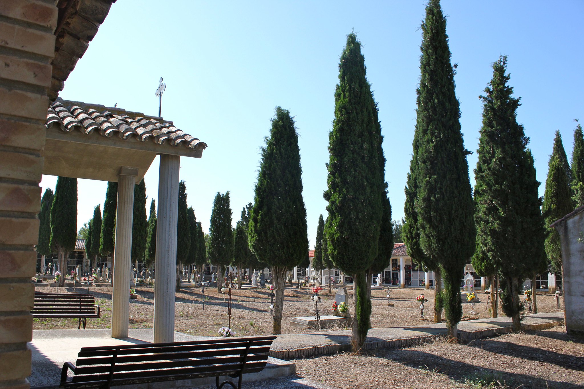 Imagen de Cementerio de Peñaflor