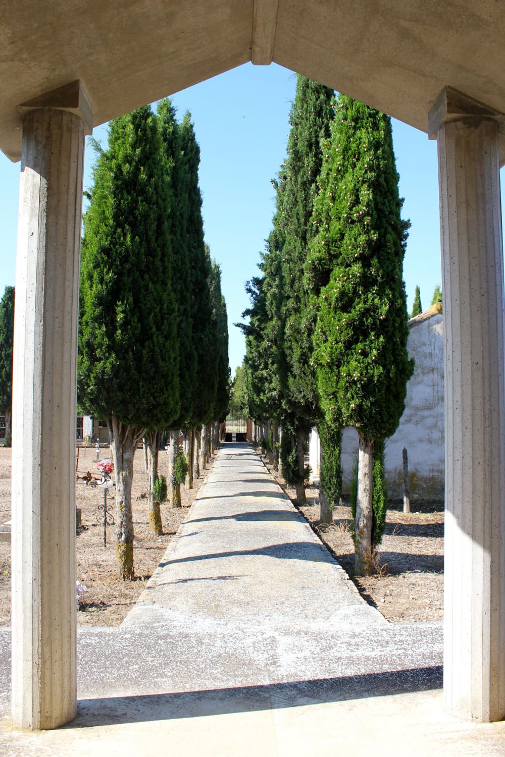 Galería de imágenes: 1 de 12