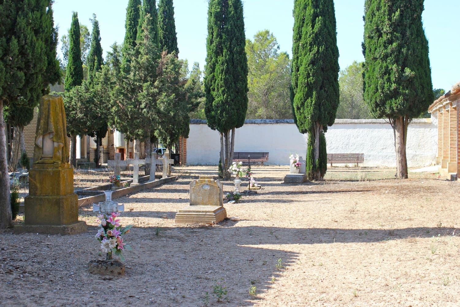 Galería de imágenes: 2 de 12