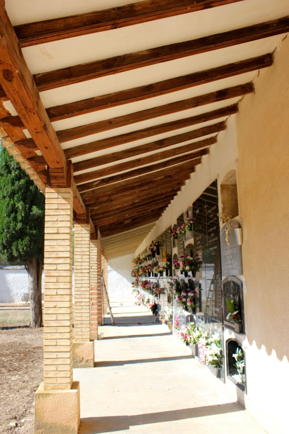 Galería de imágenes: 3 de 12