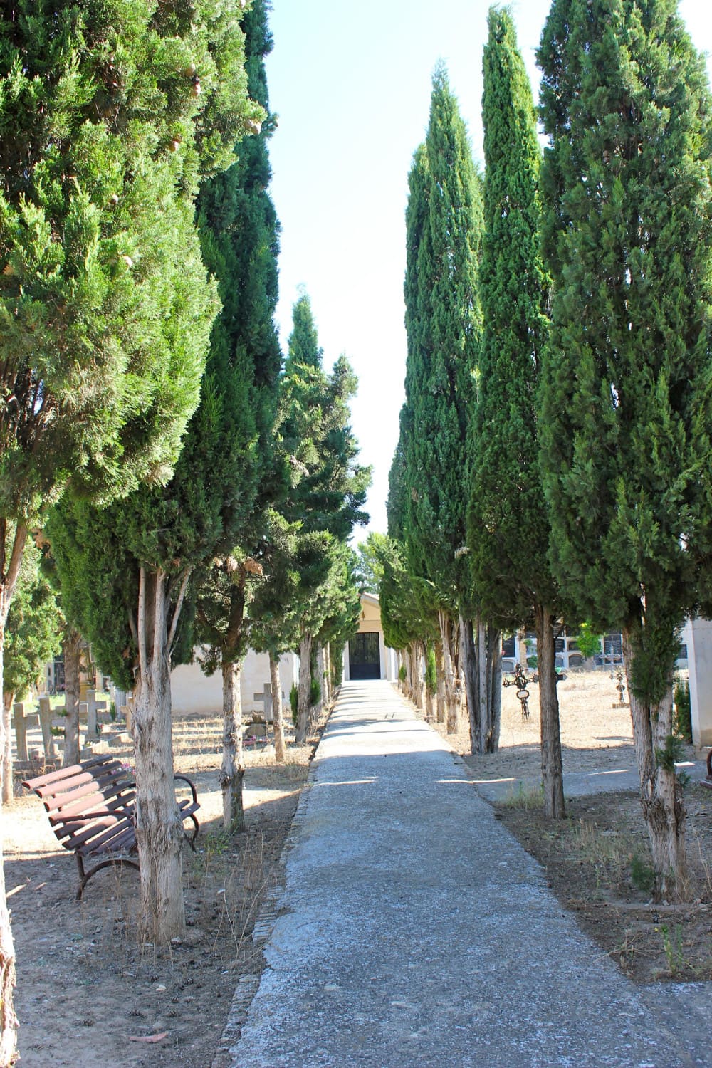 Galería de imágenes: 5 de 12