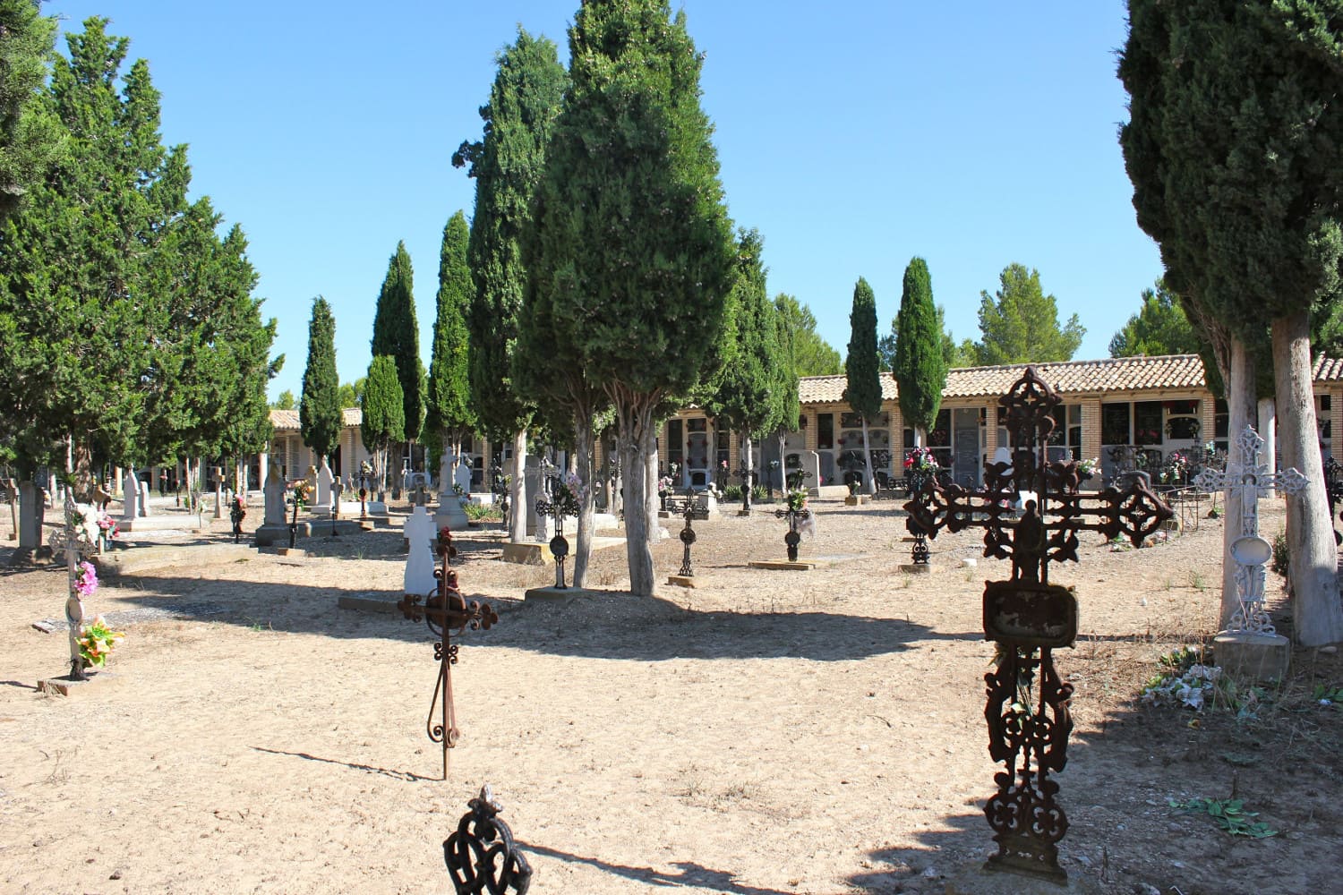 Galería de imágenes: 6 de 12