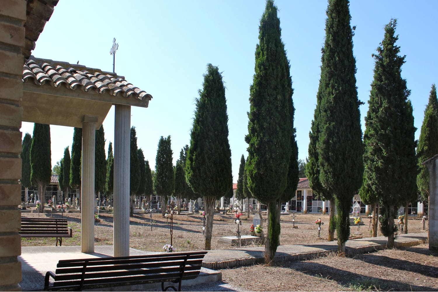 Galería de imágenes: 7 de 12