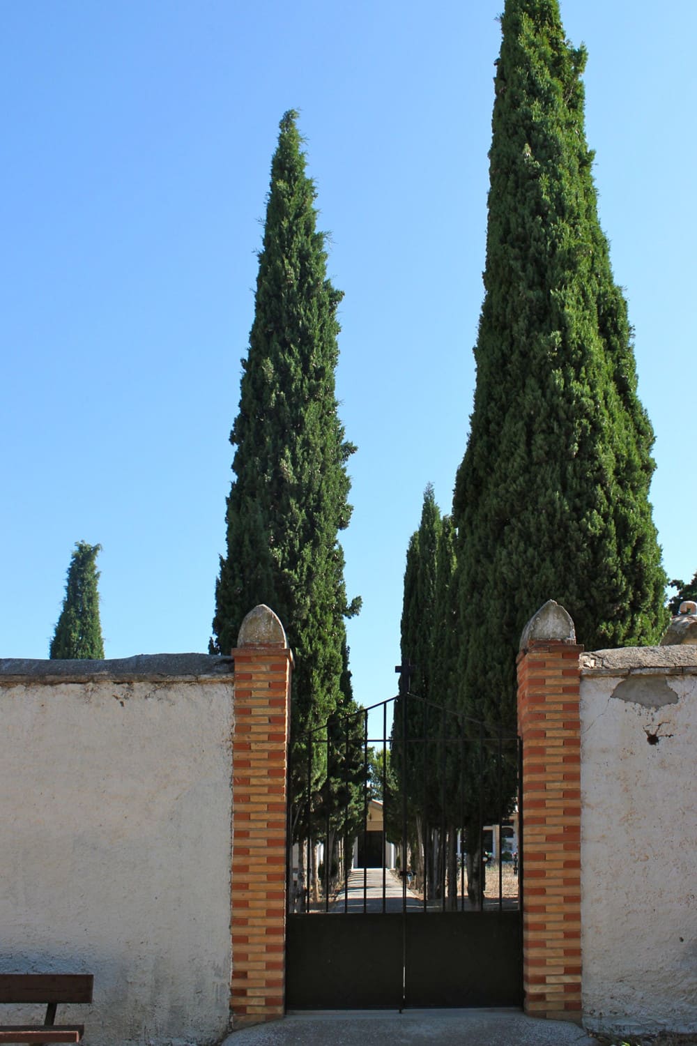 Galería de imágenes: 8 de 12