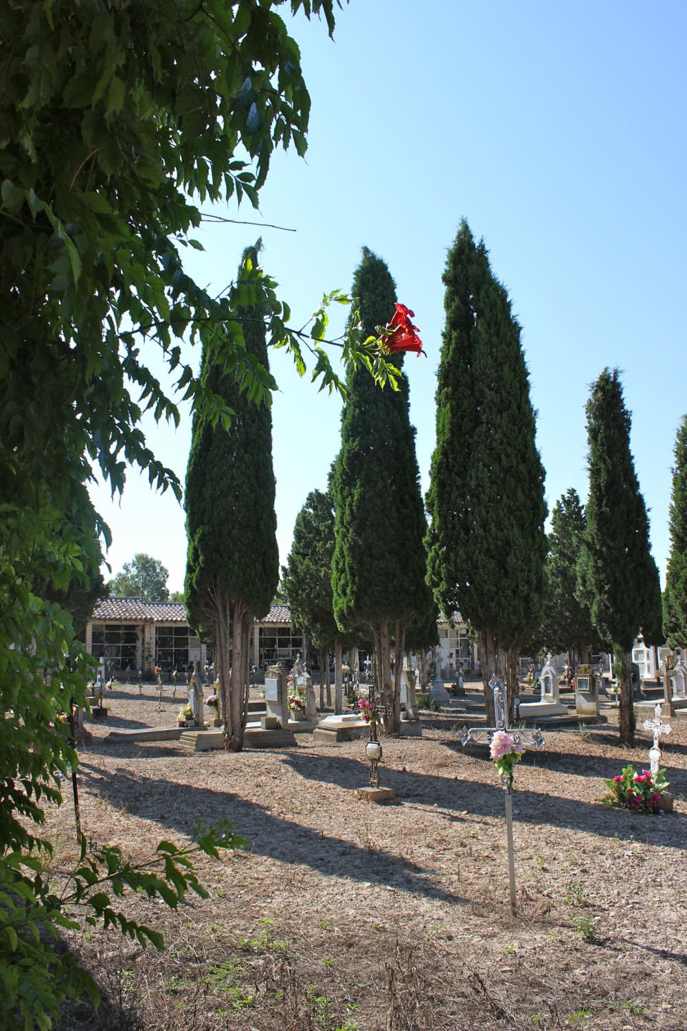 Galería de imágenes: 9 de 12