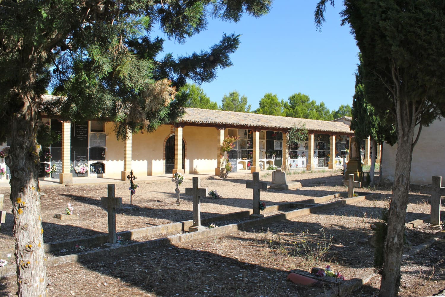 Galería de imágenes: 10 de 12