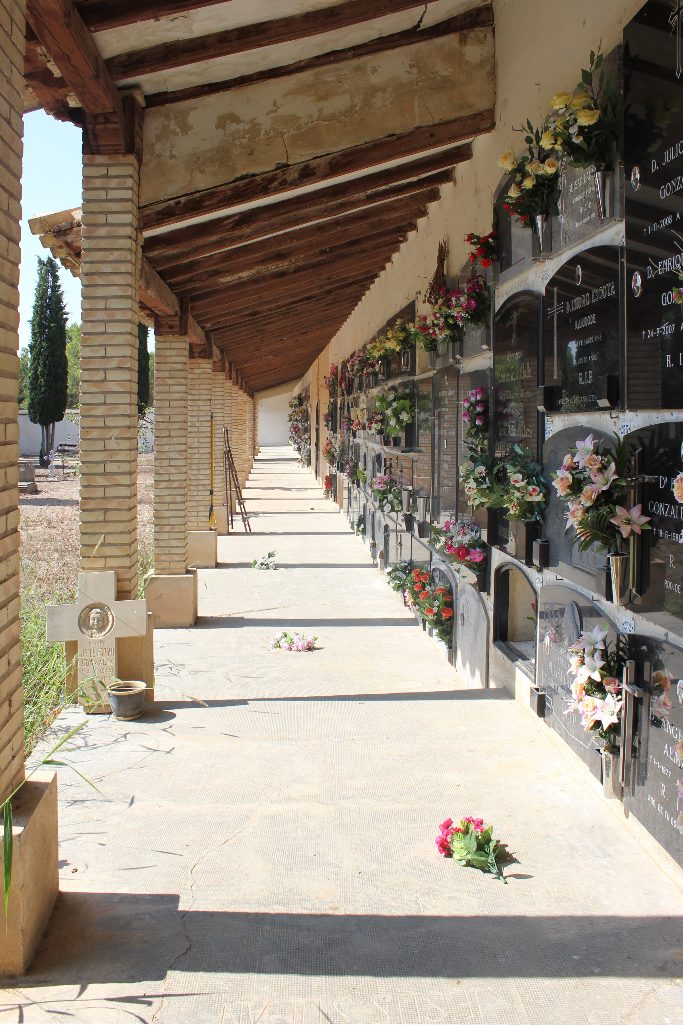 Galería de imágenes: 11 de 12