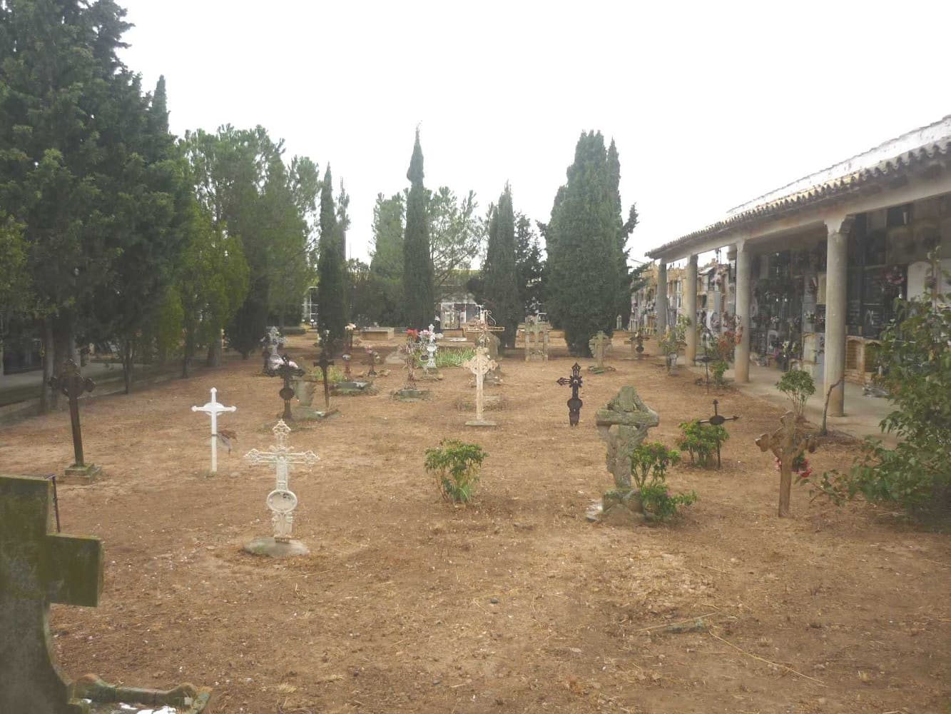 Galería de imágenes: 11 de 16