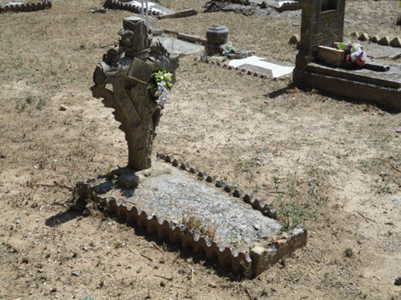 Galería de imágenes: 1 de 3