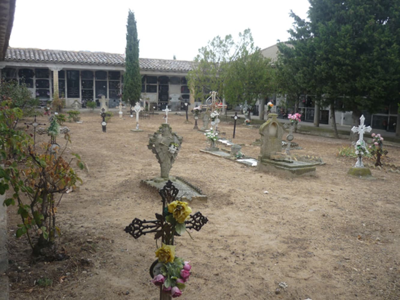 Galería de imágenes: 2 de 3