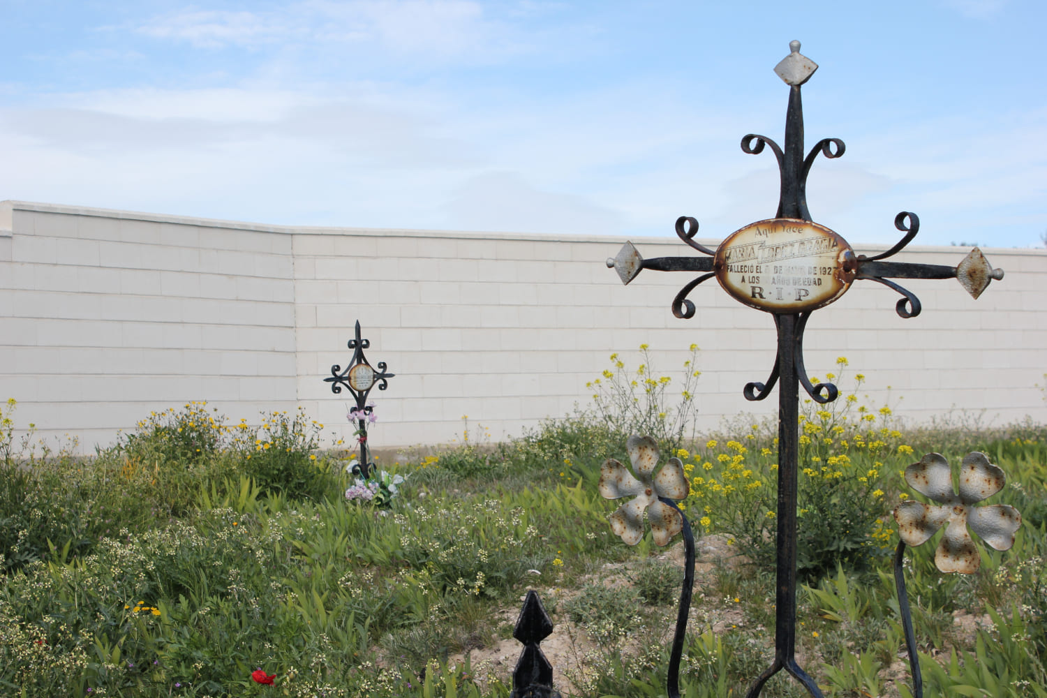 Galería de imágenes: 1 de 11