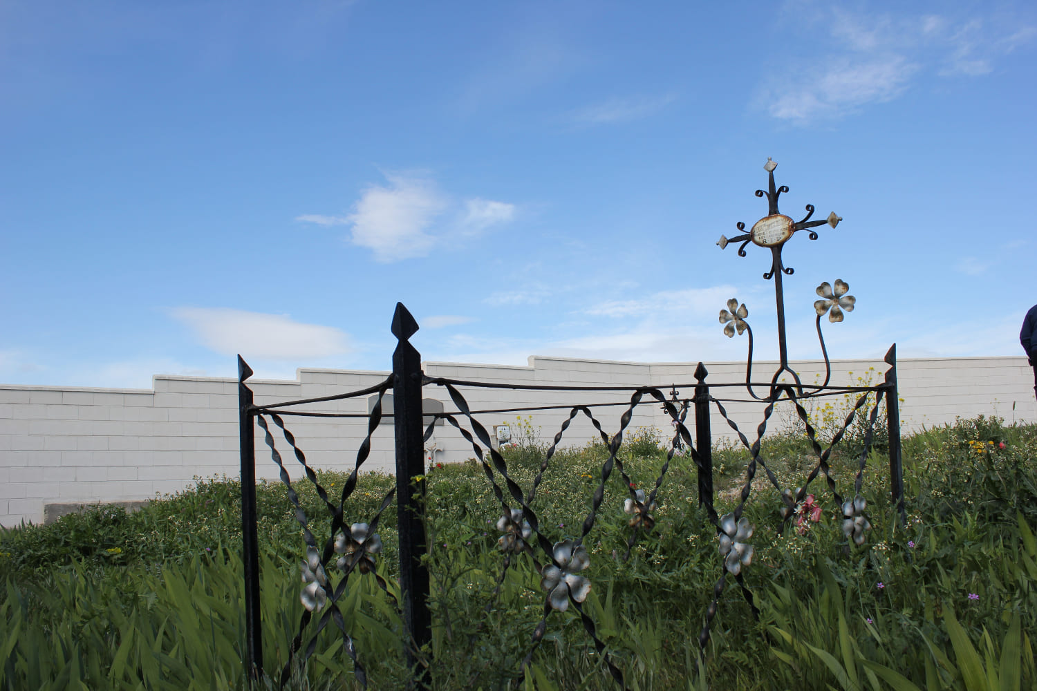 Galería de imágenes: 2 de 11