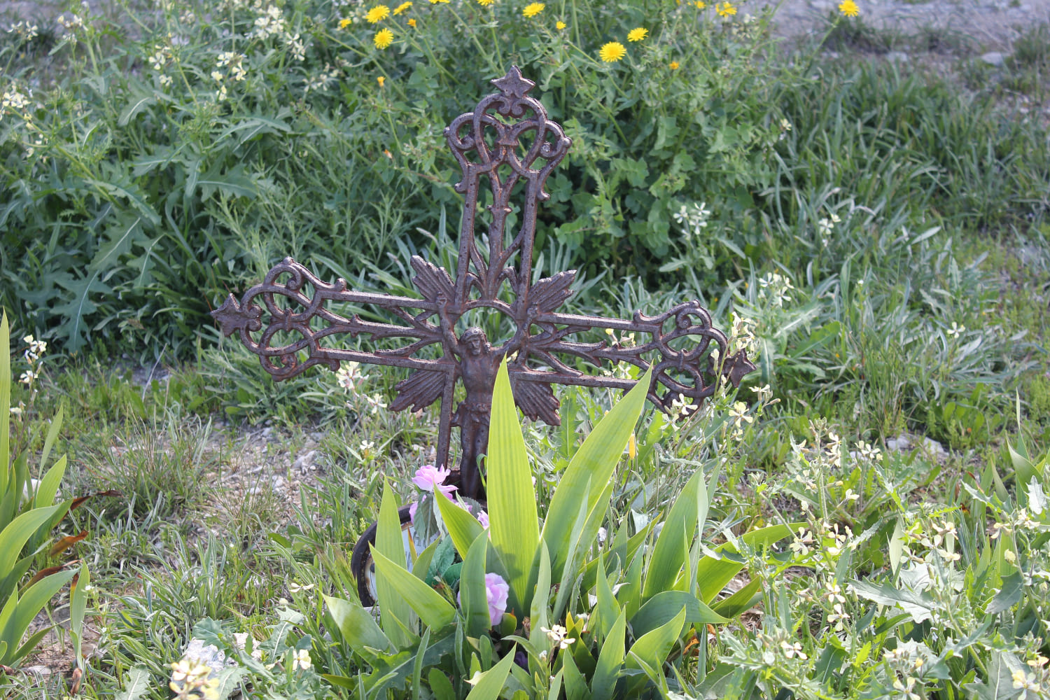 Galería de imágenes: 3 de 11