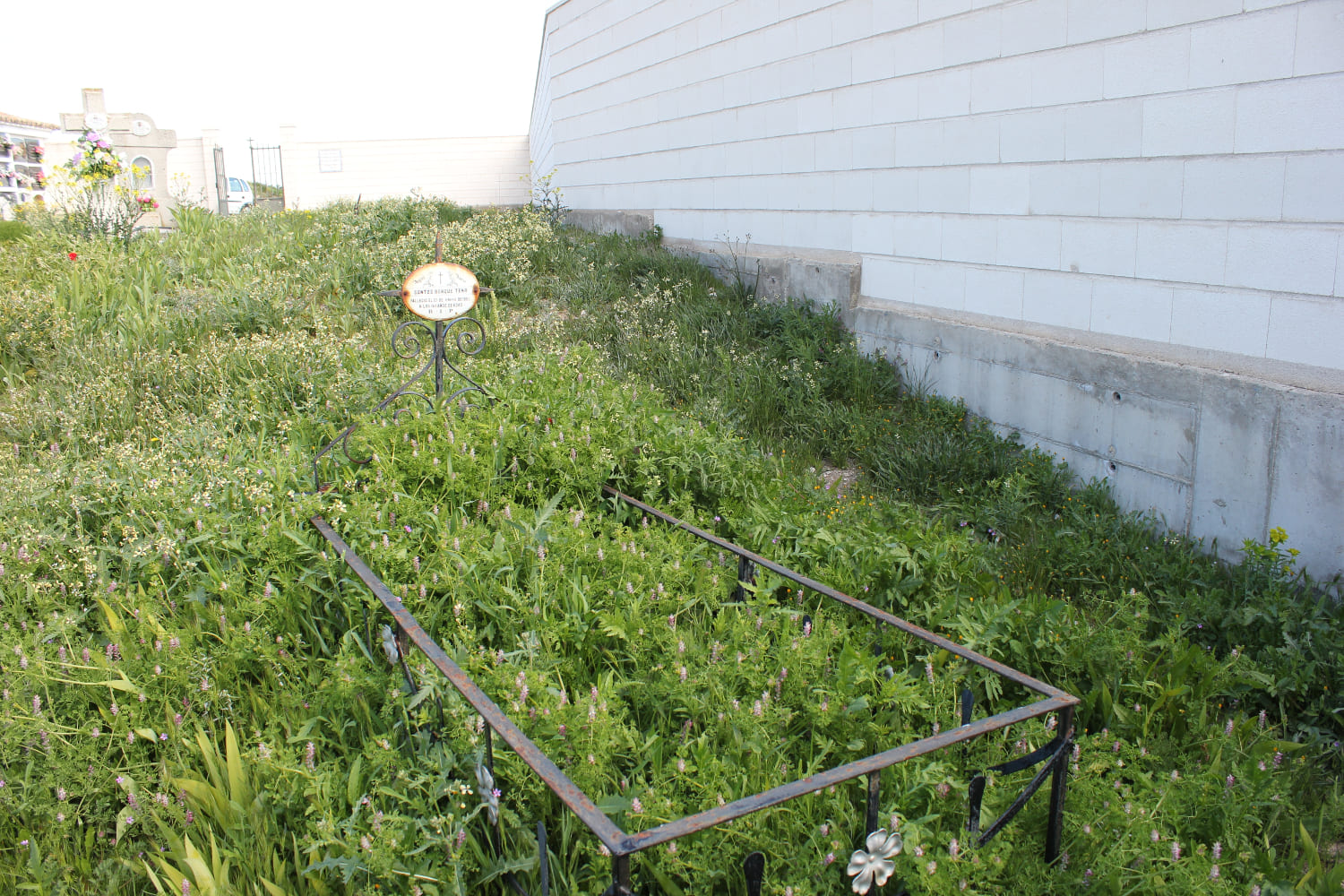 Galería de imágenes: 4 de 11