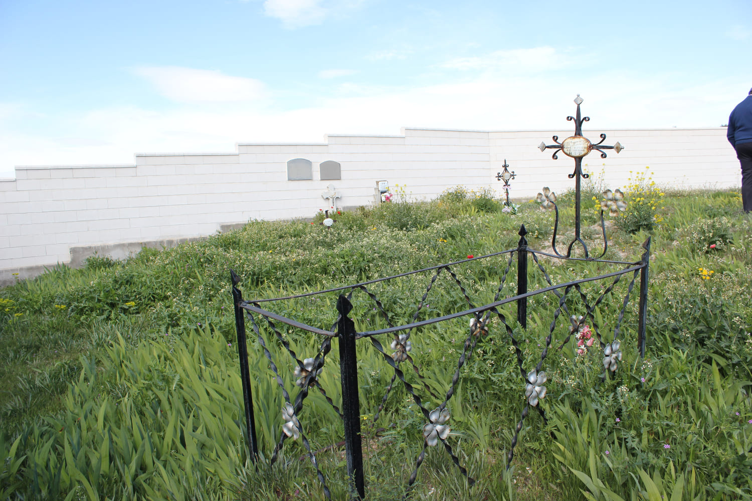 Galería de imágenes: 5 de 11