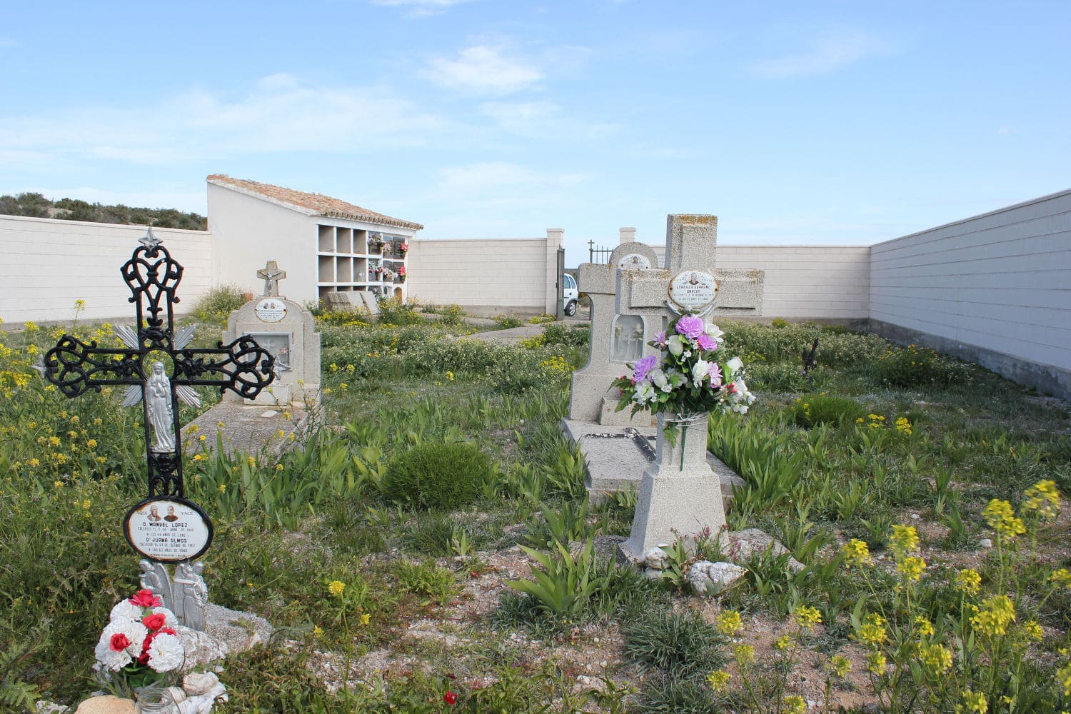 Galería de imágenes: 11 de 11