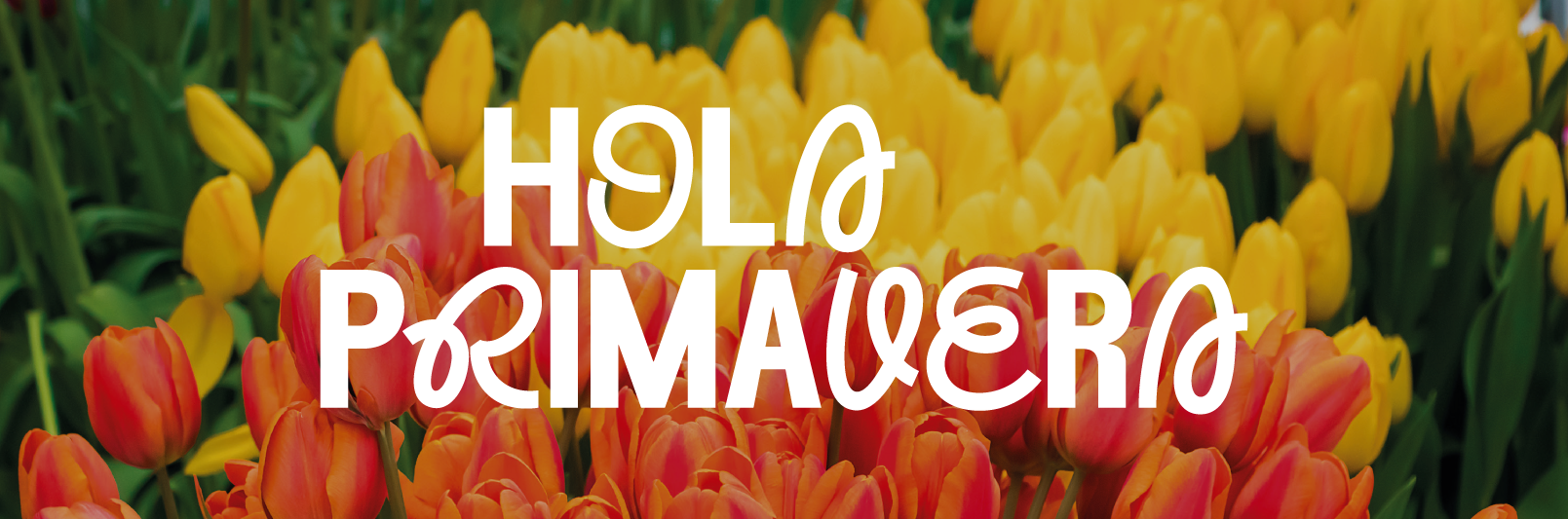 Ir a la página principal del portal