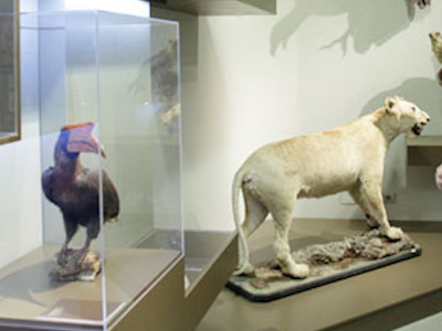 Museo Ciencias Naturales