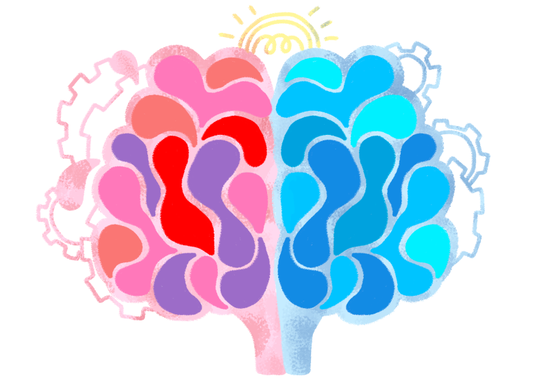 Ilustración de un cerebro dividido en dos partes: una de colores rosados y otra de colores azulados. Por detrás se ve una bombilla y unos resortes.