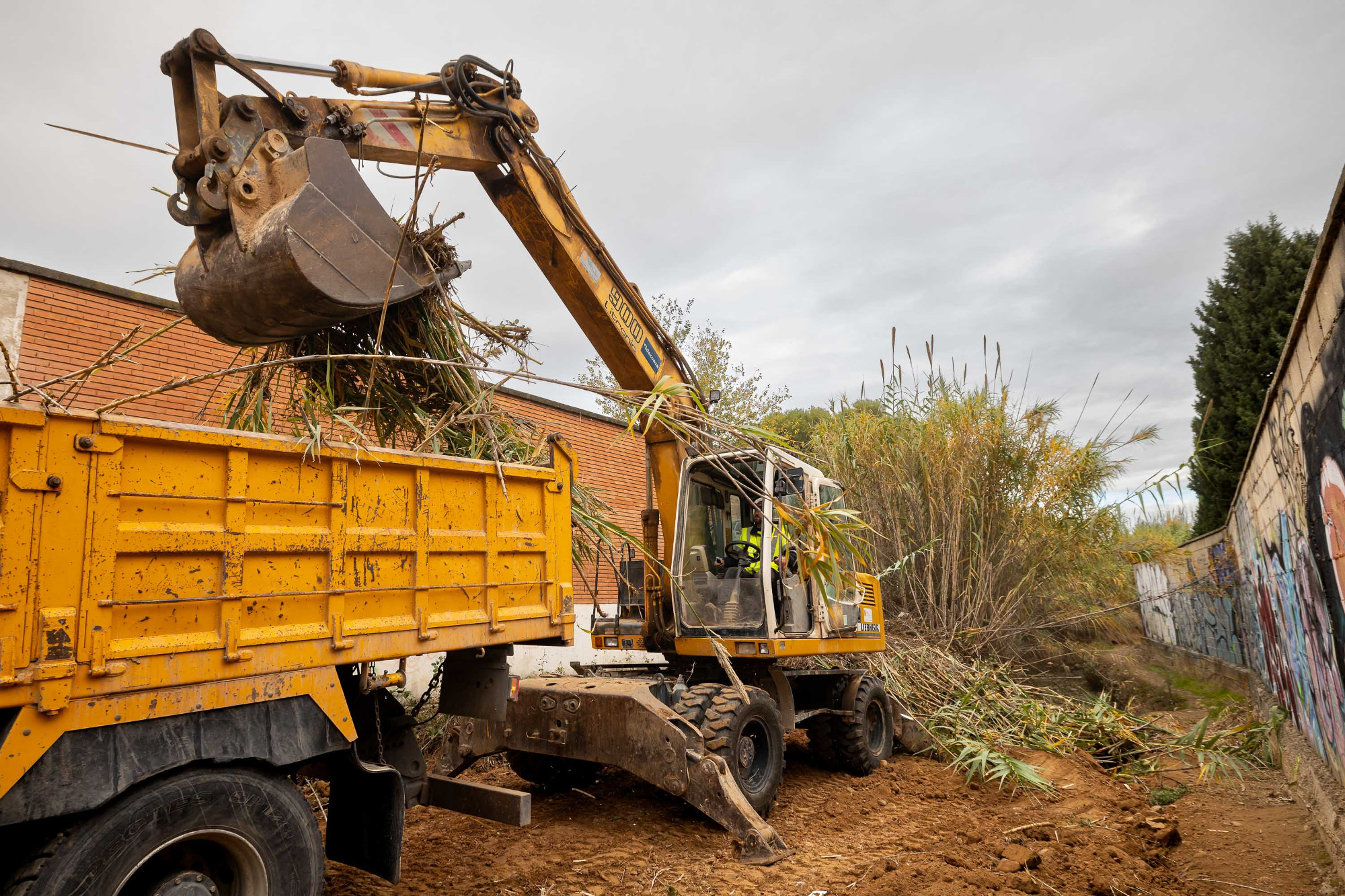 Vista previa de la calle Hayedo