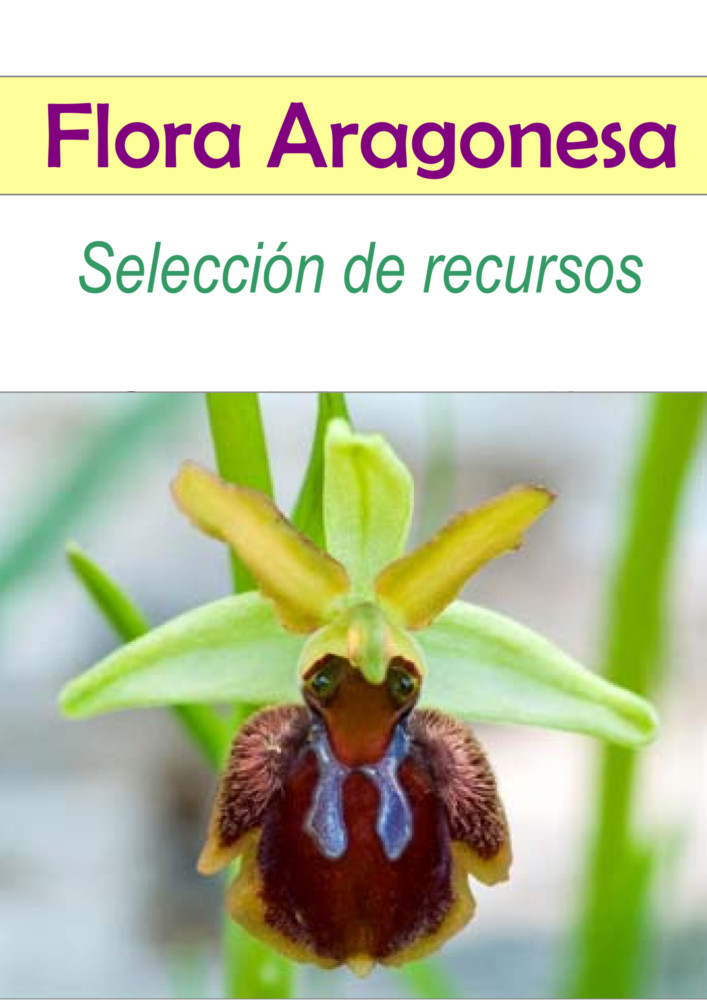 Flora en Aragón