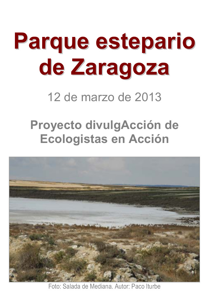 Día Internacional de las Aves