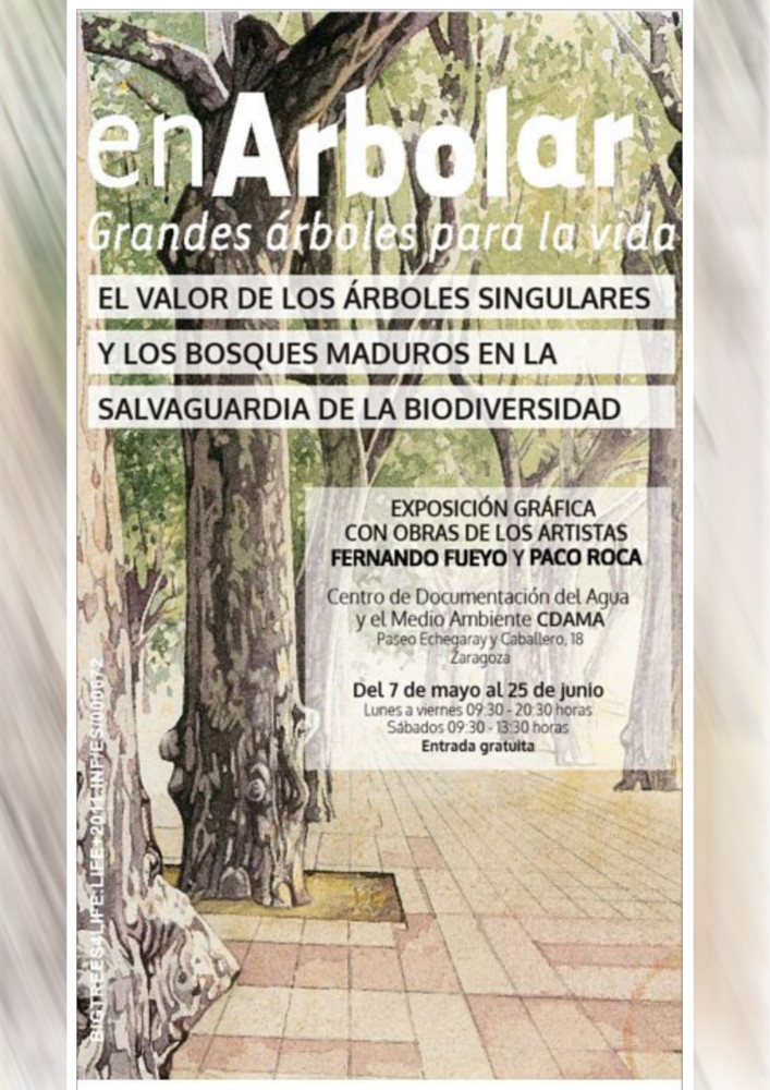 Guía de árboles y bosques singulares