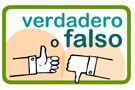 Juego de verdadeor o falso