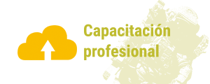 Formación para la capacitación profesional