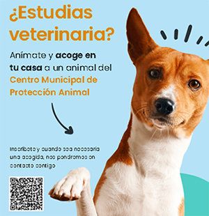 Campaña protección animal