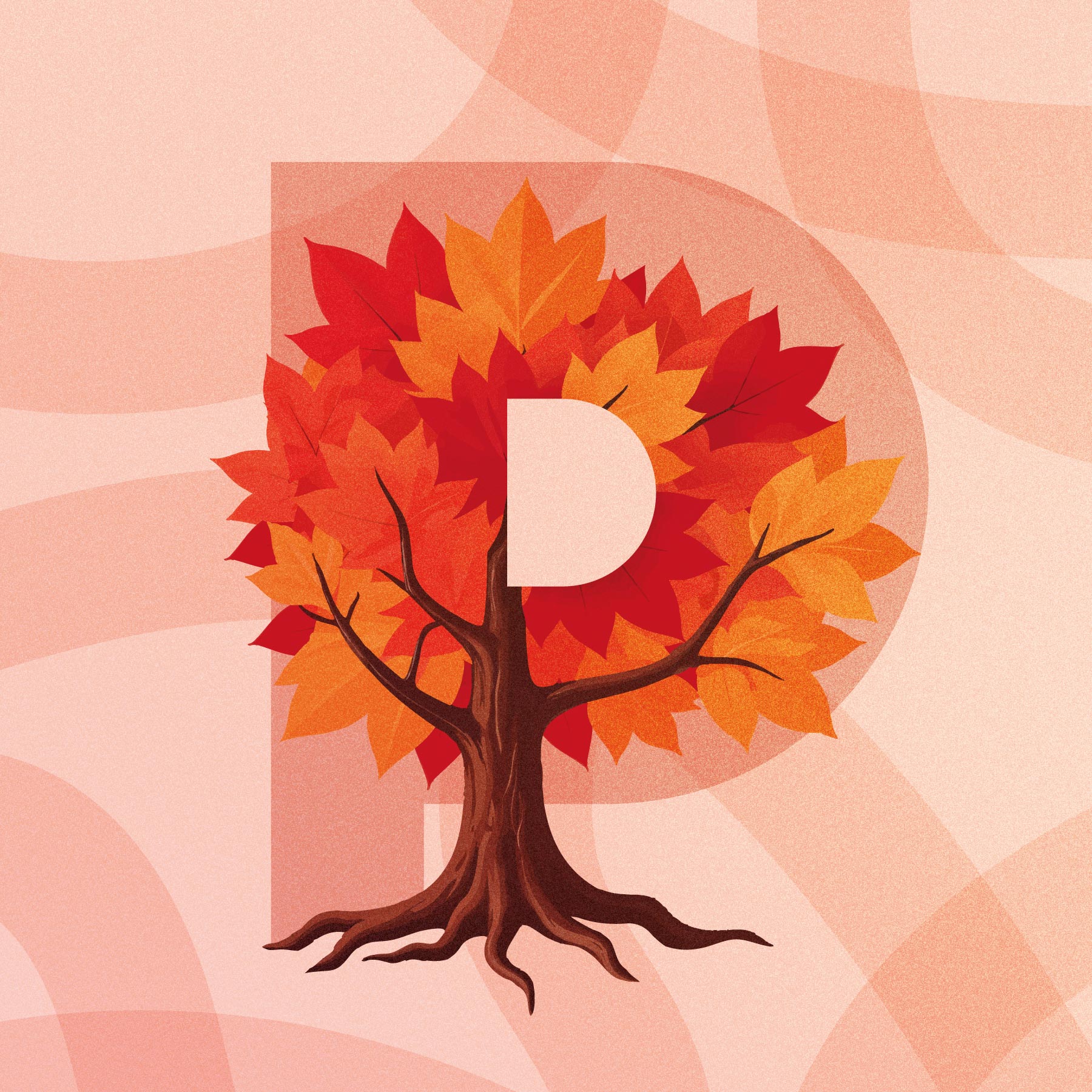 Prevención Adicciones