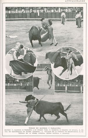 Toros