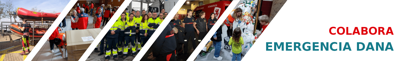 Ir a la página principal del portal